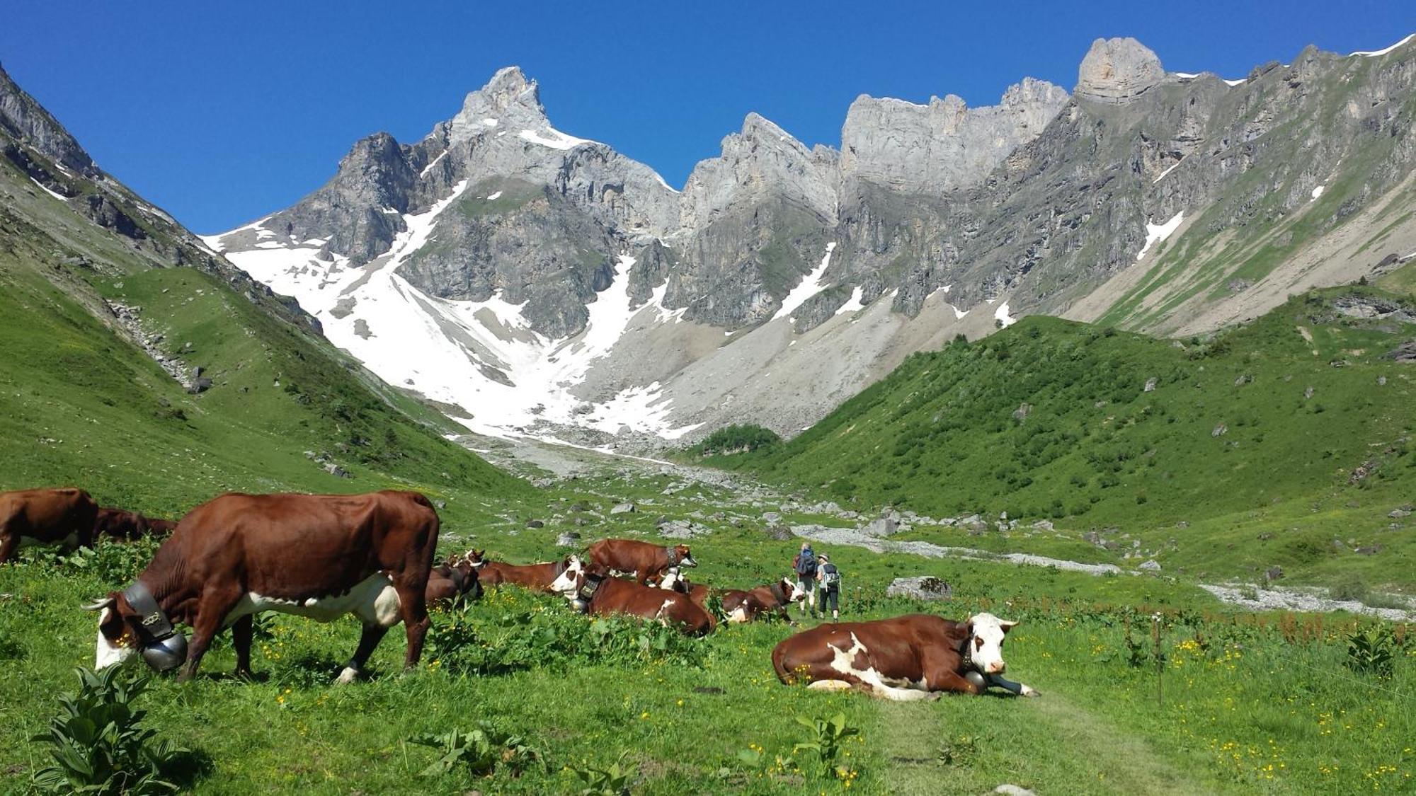 Vintage Chic -Central, Wifi, Mountain View Les Carroz d'Arâches Exterior foto